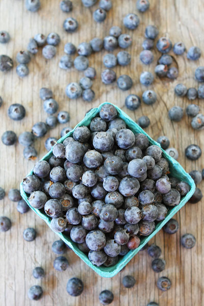 Blueberries Recipes