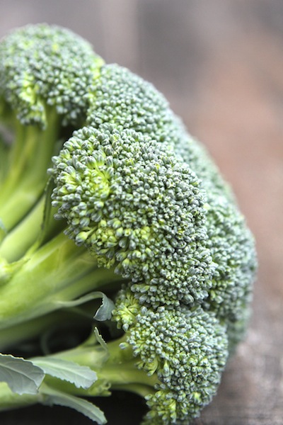 Broccoli5